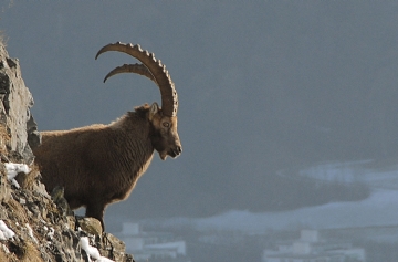 Graubünden-Südostschweiz